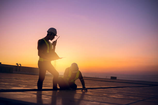 Best Roof Moss and Algae Removal  in Belington, WV