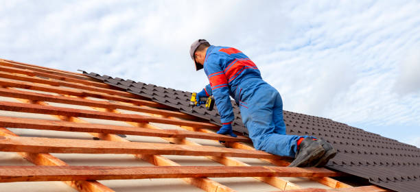 Best Solar Panel Roofing Installation  in Belington, WV