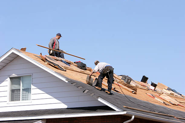 Best Rubber Roofing (EPDM, TPO)  in Belington, WV